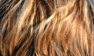 1 hair 418265 1920 jpg jpeg