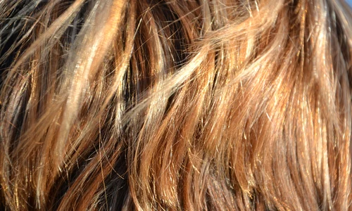 1 hair 418265 1920 jpg jpeg