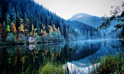 1 82567 original jpg jpeg