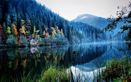 1 82567 original jpg jpeg