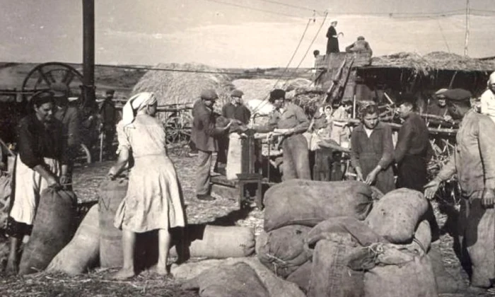 13 ani de gulag pentru un snop de grâu jpeg