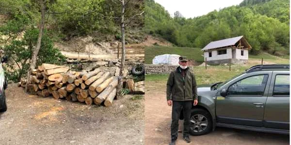Şase hoţi din satul Valea lui Stan - Brezoi judeţul Vâlcea puşi pe fugă de un pădurar de la Ocolul Solvic Voineasa cu focuri de armă Foto Facebook 