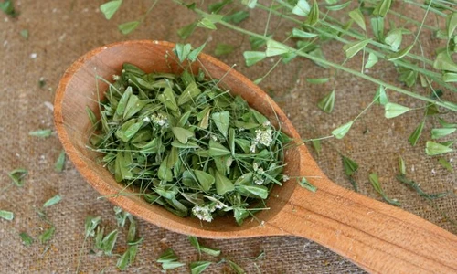 1 traista ciobanului jpg jpeg