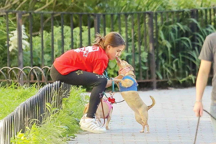 L-a sărutat în bot pe Honey