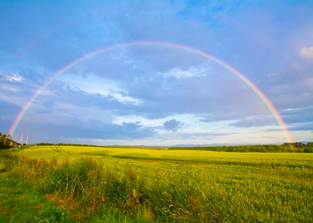 CurcubeuFOTO: Unsplash.com