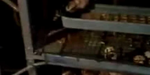 5ff48d8d5163ec42719d2999 jpg