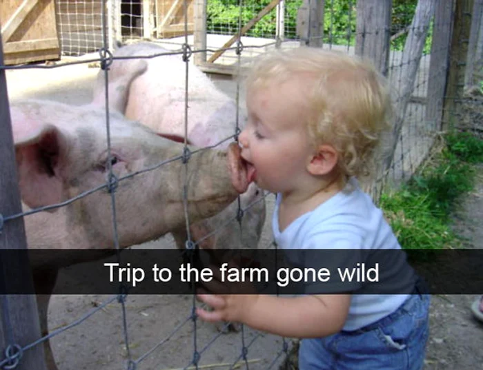 Foto: Imgur