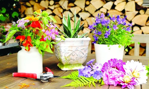 1 46723 original jpg jpeg