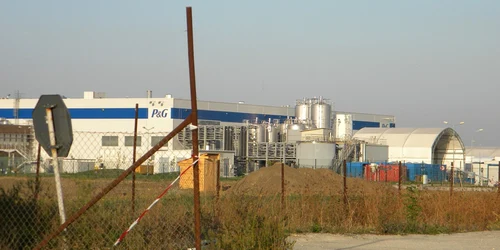 sediu urlati procter gamble