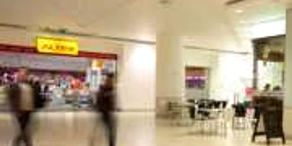 Afacerile Altex au crescut cu 6% în al treilea trimestru