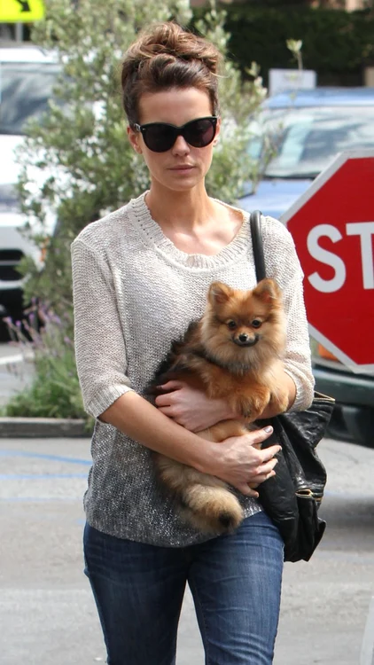 kate beckinsale spl523292 001 jpeg