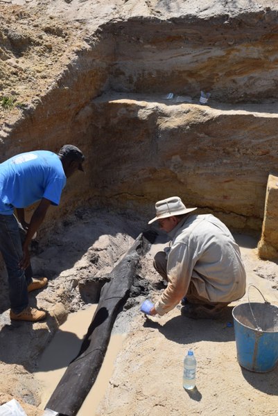 Cea mai veche structură construită de o specie dispărută de oameni a fost descoperită de arheologi