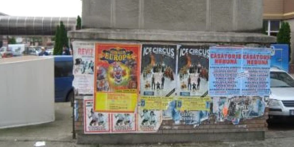 Timişoara: Circarii sunt fugăriţi prin oraş de poliţiştii comunitari