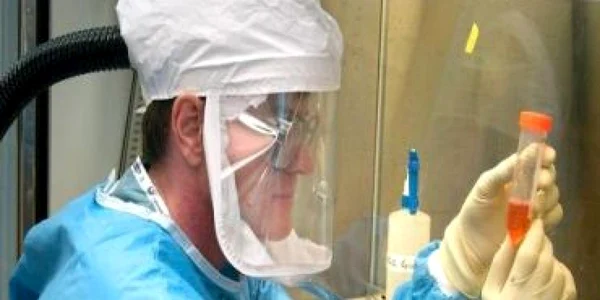 Bucureşti: În Capitală au fost identificate 11 cazuri noi de gripă porcină