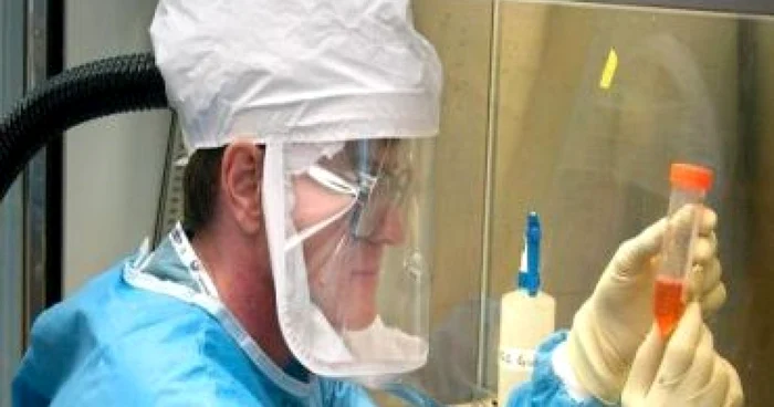 Bucureşti: În Capitală au fost identificate 11 cazuri noi de gripă porcină