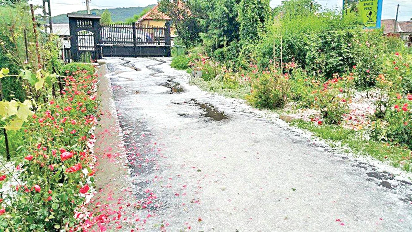 
    Grindina a făcut ravagii în Prahova, zilele trecute  