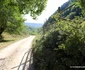 Valea Luncani Cioclovina Foto Daniel Guță ADEVĂRUL (8) JPG