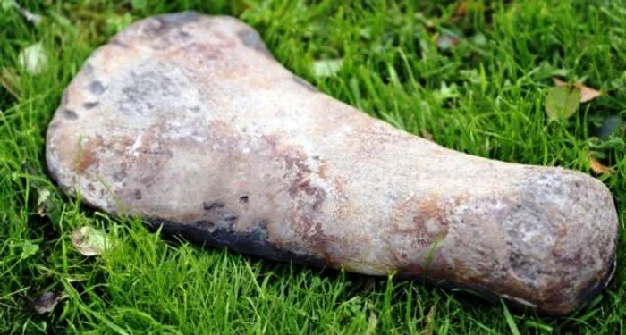 Timp de 16 ani, un bărbat a ținut un os de dinozaur ascuns, crezând că este o piatră