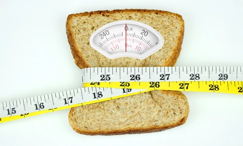 1 shutterstock 391685539 jpg jpeg