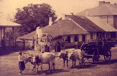 Mahalaua „Cărămidarii de Jos”, locul de naștere al Mariei Tănase jpeg
