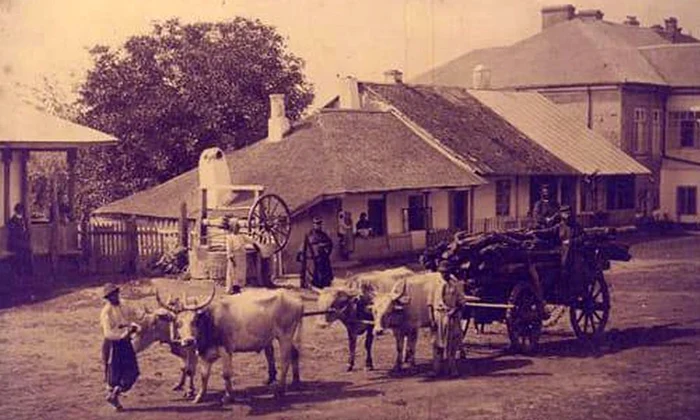 Mahalaua „Cărămidarii de Jos”, locul de naștere al Mariei Tănase jpeg