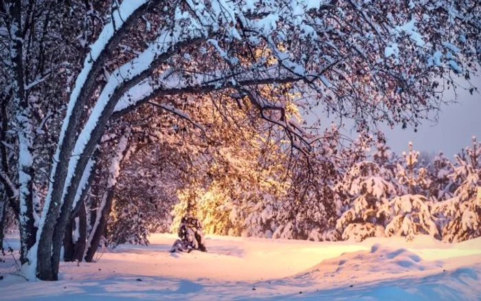 Doar la munte, pe creste, va fi zăpadă de Revelion FOTO Shutterstock