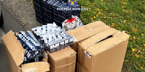 contrabandatigar1 Sursapolitiaromana jpg