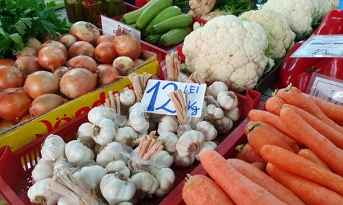legume jpg
