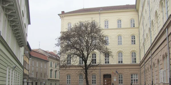 Piaţa Ţarcului din Timişoara FOTO Ştefan Both