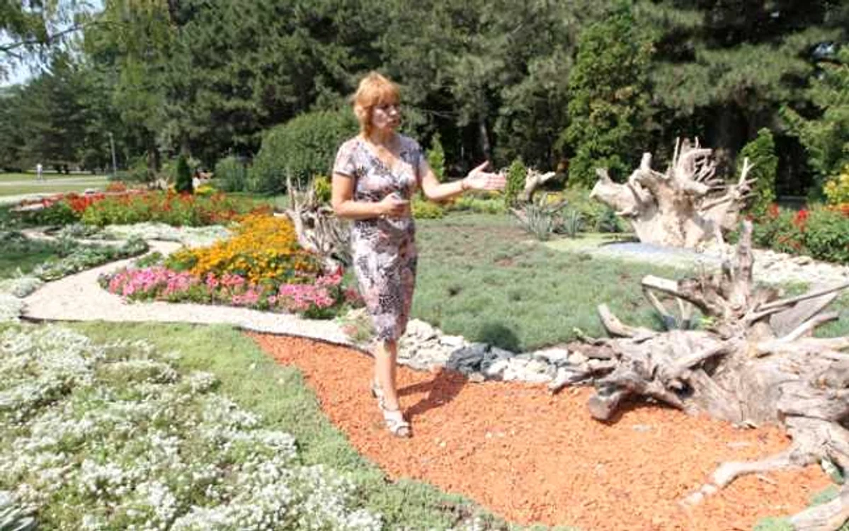 Galina Leahu arată ce elemente noi au fost introduse în amenajarea rondurilor florale FOTO Tudor Iovu