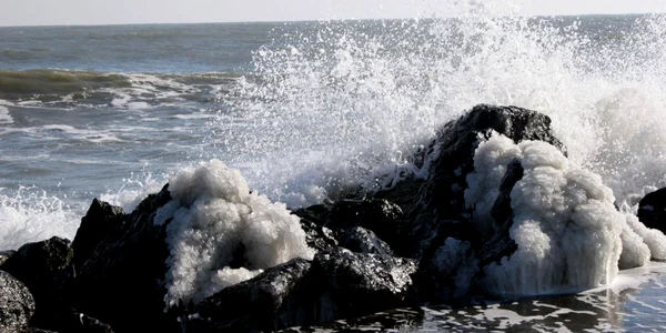 Marea