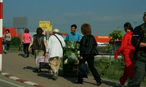 În căutarea pierdutului "acasă" jpeg