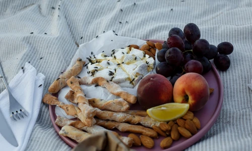 furnici, insecte, picnic jpg