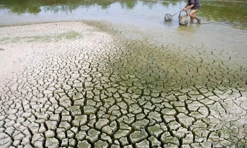 Nimicirea pădurilor și schimbările climatice jpeg