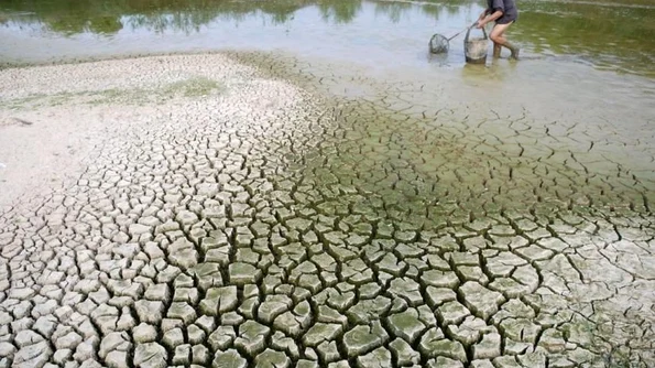 Nimicirea pădurilor și schimbările climatice jpeg