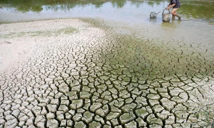 Nimicirea pădurilor și schimbările climatice jpeg