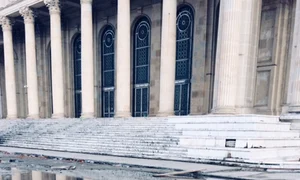 Odă pentru o băltoacă jpeg