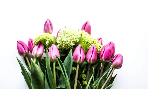 clickptfemei floria jpg