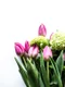 clickptfemei floria jpg
