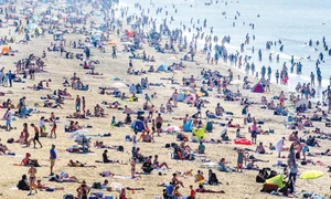 5 olanda profimedia 0521369176 jpeg