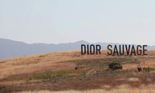 Dior Cruise 2018 jpeg