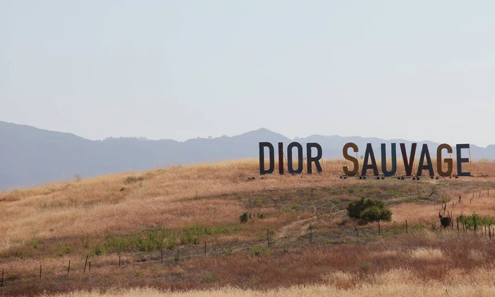Dior Cruise 2018 jpeg