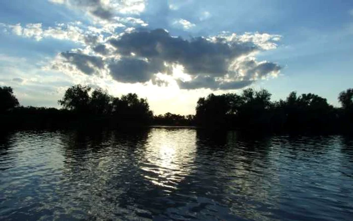 Şi-a găsit sfârşitul în Delta Dunării FOTO Adevărul