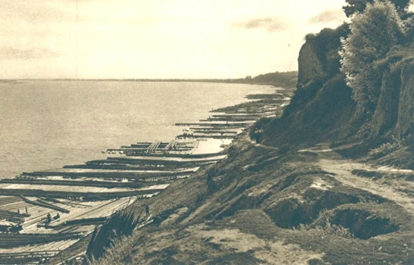 Plute în portul Galaţi, în perioada interbelică. Portul Galați era unul dintre cele mai importante centre pentru exportul lemnului din întreaga Românie (© iMAGO Romaniae)