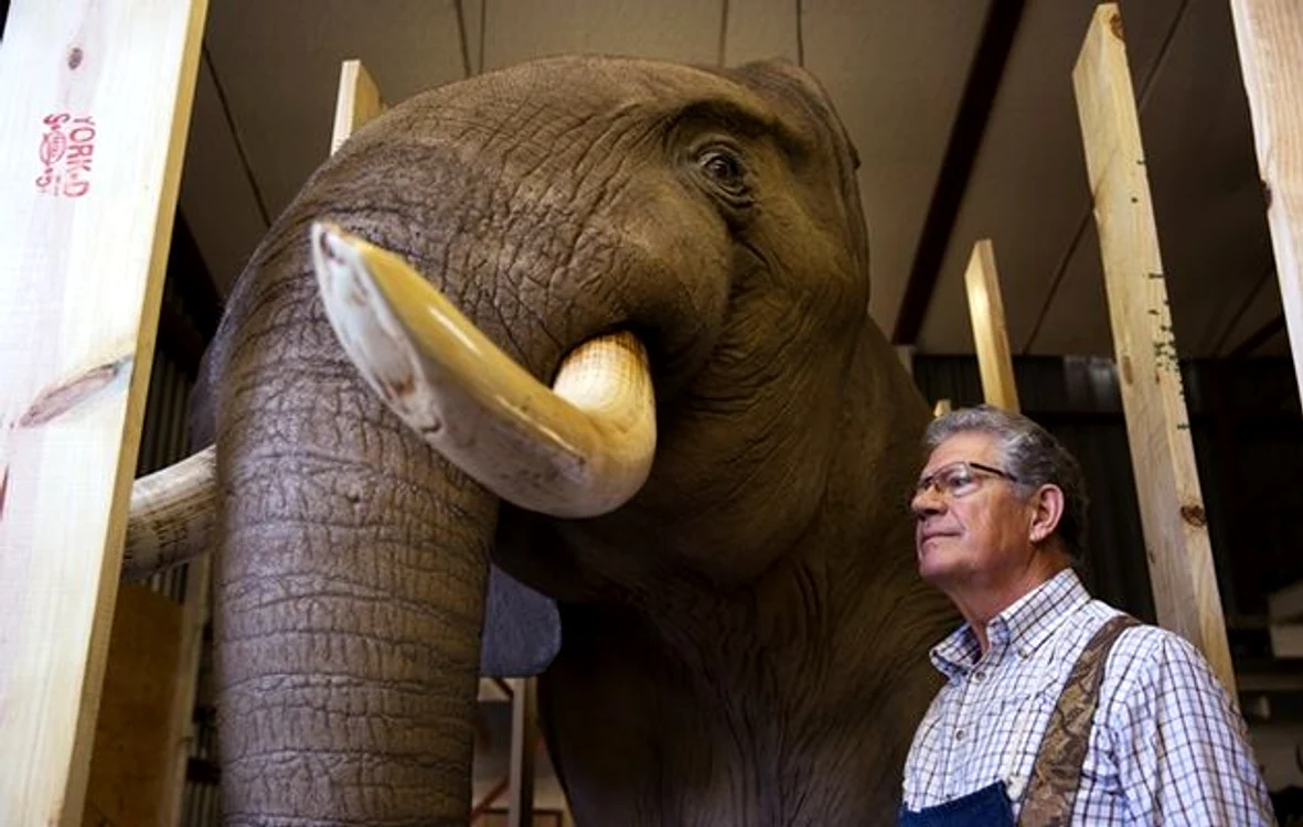 Ioan Niculae a vânat în februarie 2014 un elefant pe care l-a dorit și împăiatfoto: timeslive.co.za
