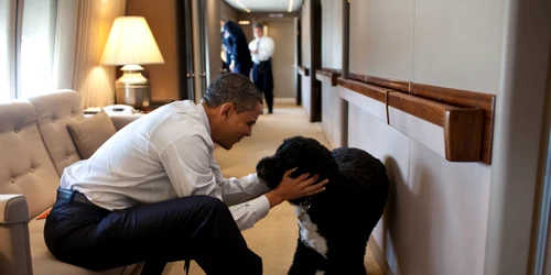 bo caine barack obama. Foto Profimedia