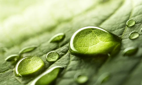 shutterstock 668593321 jpg