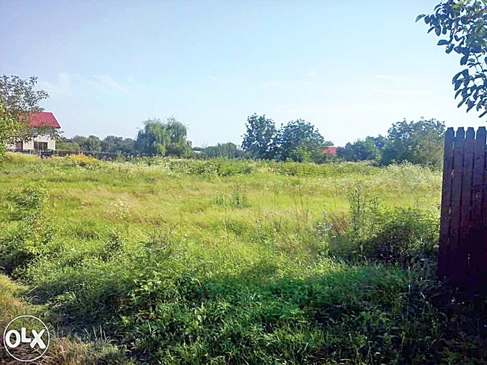 Teren. Aceasta este proprietatea din Moara Vlăsiei, moștenită de la tatăl său
