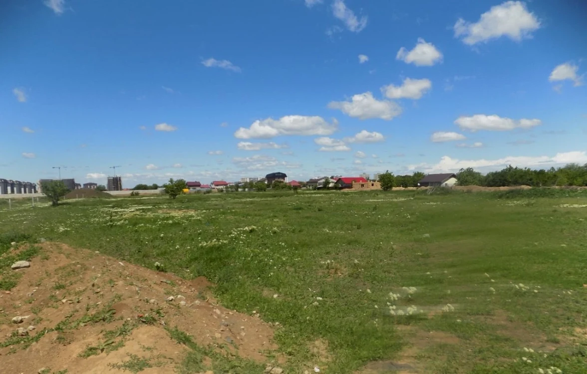 Proprietarii de terenuri au obligaţia de a înştiinţa în scris Primăria Sectorului 5 după efectuarea lucrărilor de îndepărtare a ambroziei Foto: Primăria Sector 5