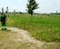 parcuri4